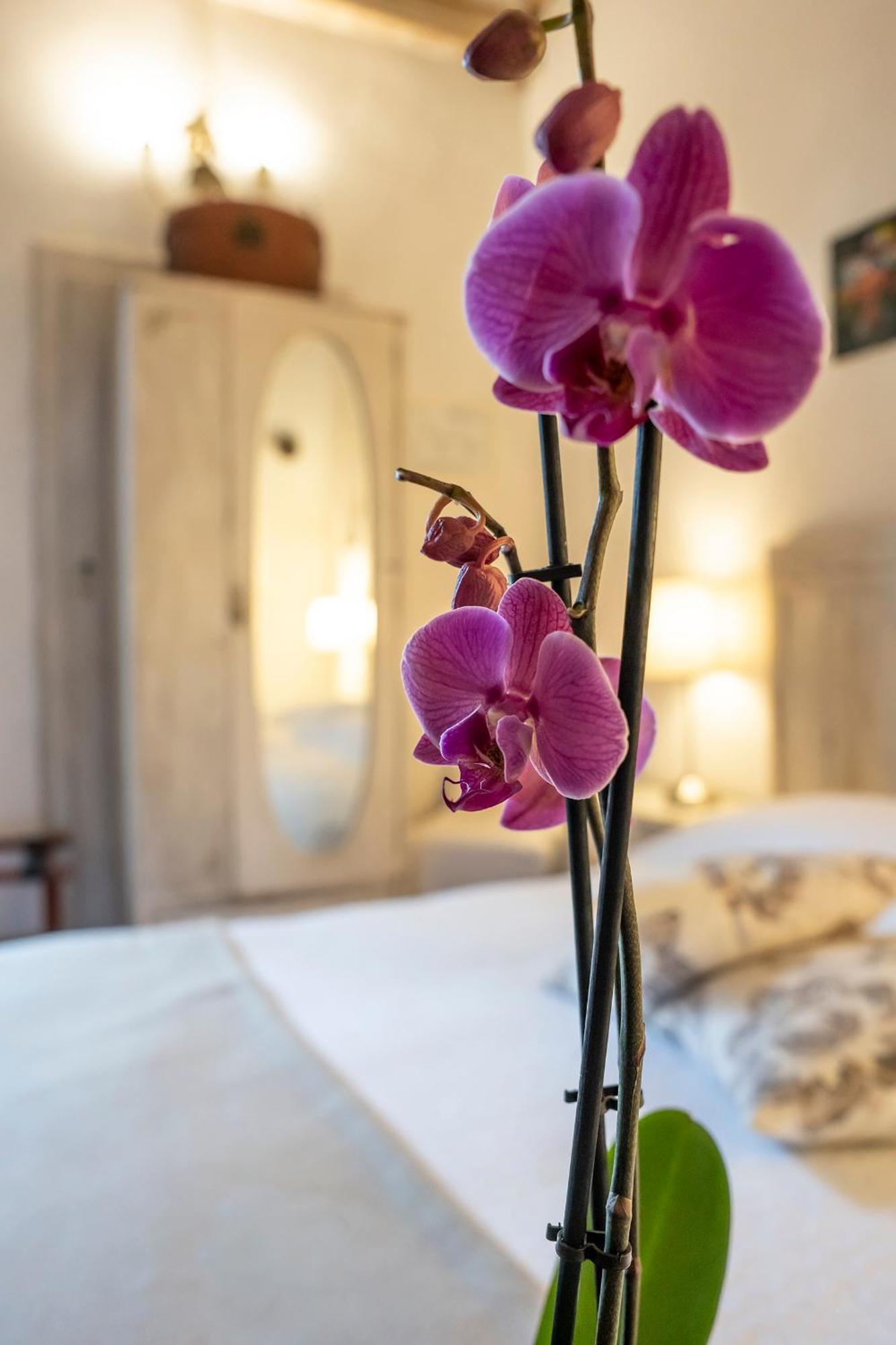 Le Terrazze Del Chianti B&B Residenza D'Epoca E Di Charme San Donato in Poggio Ngoại thất bức ảnh